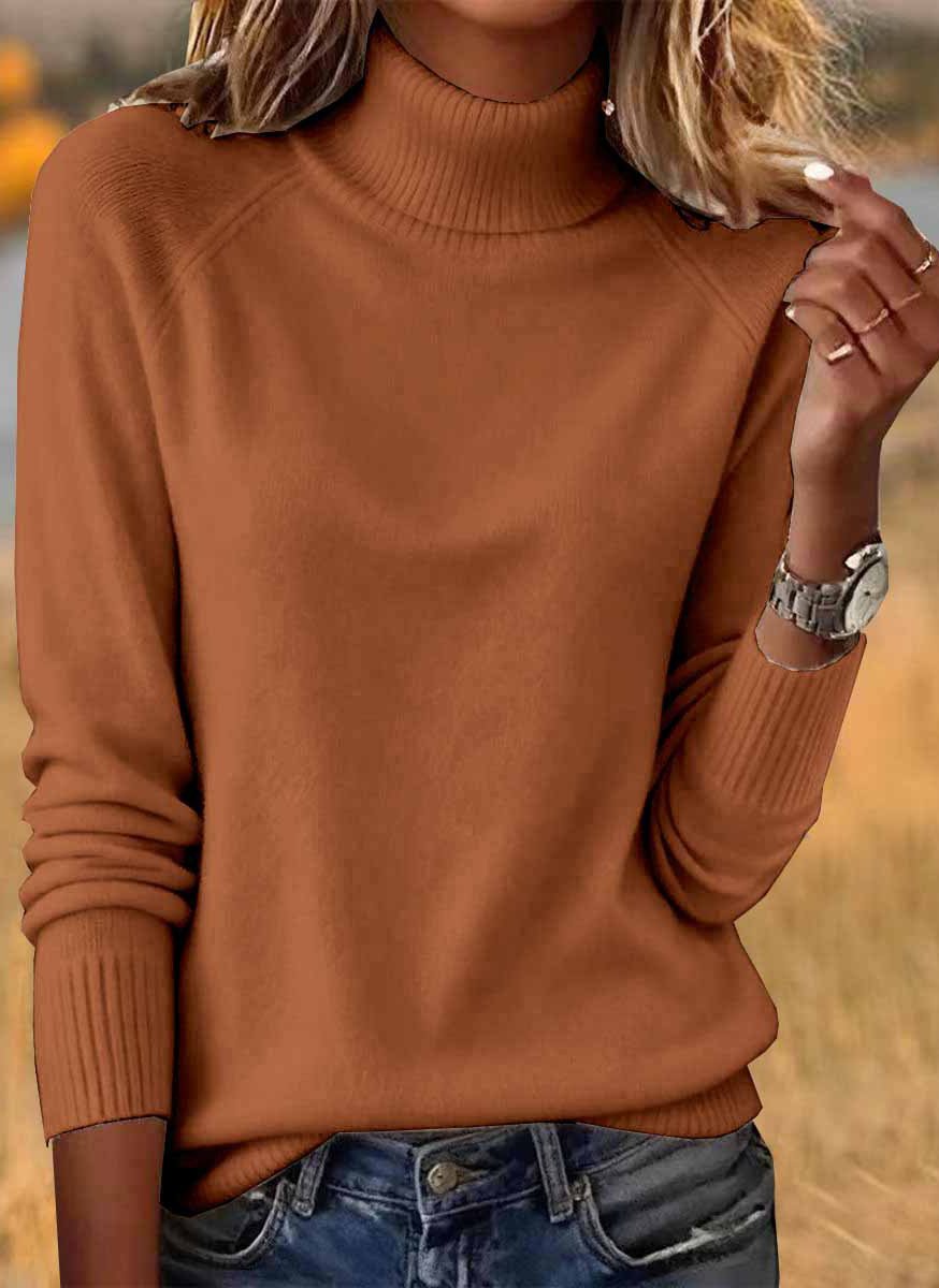 Casual Turtleneck Sweater