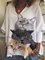 Cat Printed Long Sleeve Cotton-Blend Tops