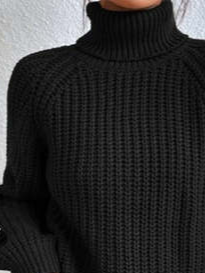 Wool/Knitting Turtleneck Casual Plain Sweater