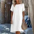 Plain Regular Fit Casual Crew Neck Dress With No